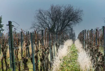 Winter Impressionen