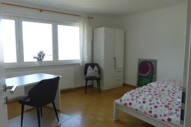 Zimmer1-2