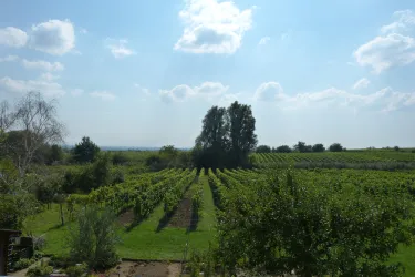 Gartenseite
