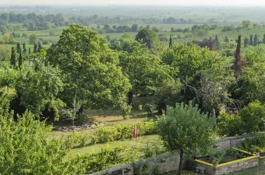 Nur 50 Meter bis zum Rebenmeer - Blick vom Balkon (© Haus Storck - Ferienwohnungen in Gimmeldingen)