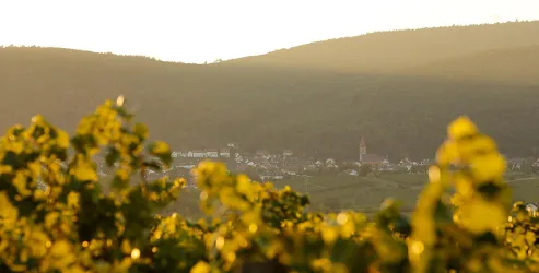 KÖBA