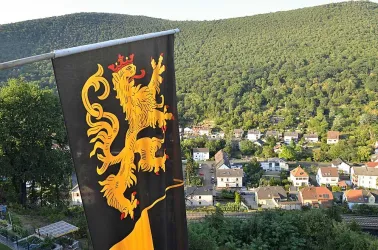 uhuherz-dm-1808_071o