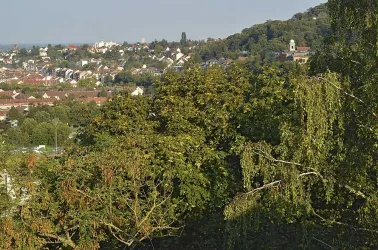 uhuherz-dm-1808_064o