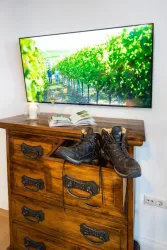 Smart TV mit Netflix