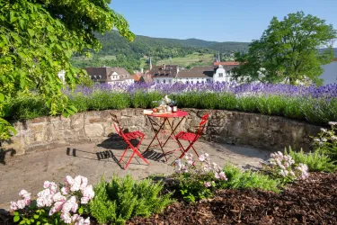 Wein mit Blick über die Stadt