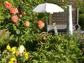 Sitzplatz im Höhengarten