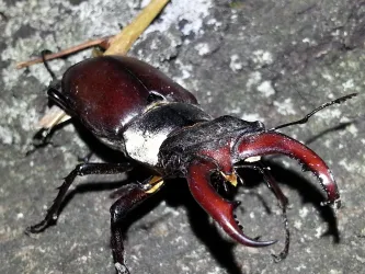 20130617_212523