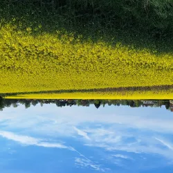 20240411_175809