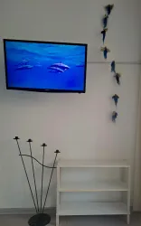 TV / WLAN