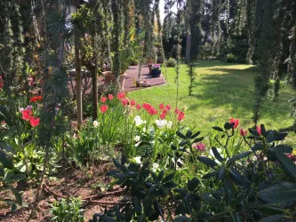 Frühlingsimpressionen