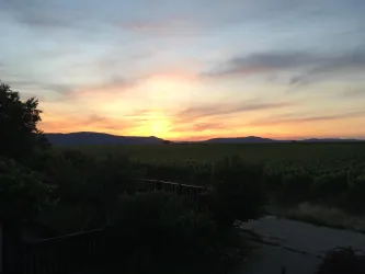 Sonnenuntergang über dem Pfälzer Wald