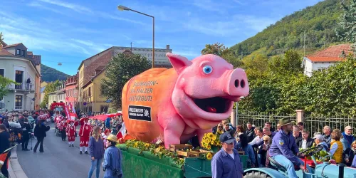 Winzerfestumzug