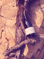 Beispiel Wein1 ©Weingut Clade