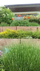 Garten 2017