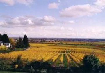 Blick von der Terrasse im Herbst
