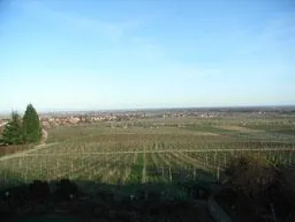 Blick aus den Wohnungen