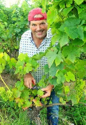 Weingut Stortz-Nicolaus_2