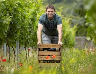Weingut Sommer (© Weingut Sommer)