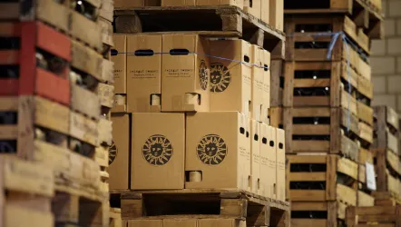 weingut (© Weingut)