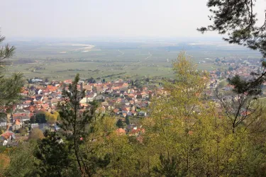 Blick auf Mußbach/Gimmeldingen