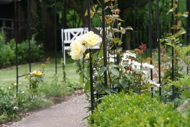 Garten