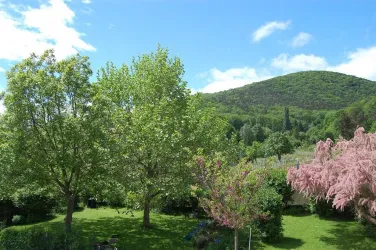 Garten hinterer Teil