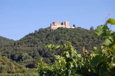 Blick zum Schloss