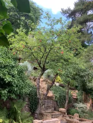Garten - Ansicht 2