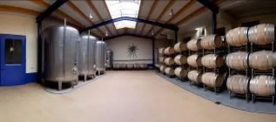 Weinkeller  (© Weingut Naegele)