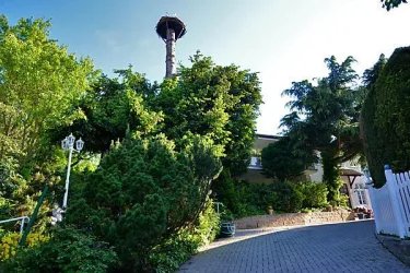 Aussenbereich2