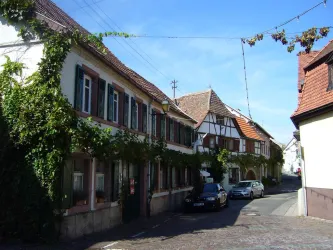 Fuxbau