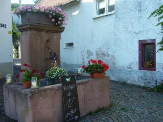 Eichbrunnen