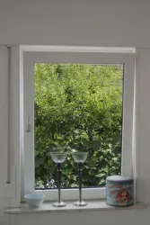 Blick ins Grüne