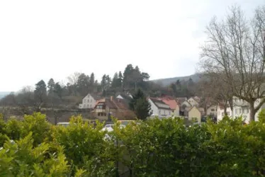Ausblick