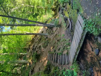kleines Brückchen