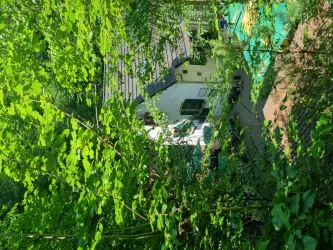 Blick zum Forsthaus