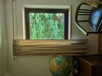 Homeoffice mit Blick in Grüne