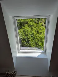 Blick ins Grüne