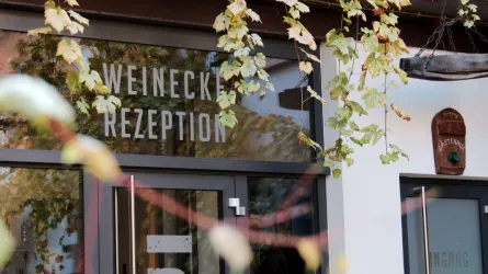 Buchert-Weinecke (© Stefanie Buchert)