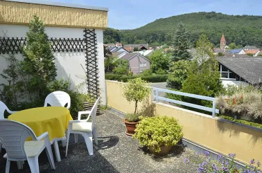 Nordterrasse, Blick vom Wald bis zur Rheinebene