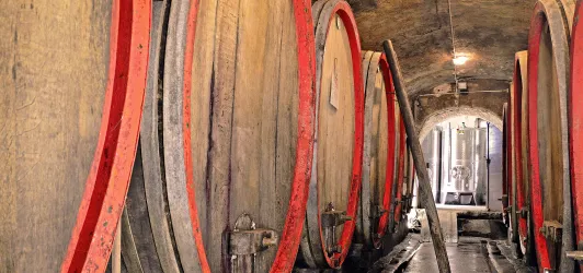 Keller ©Weingut H Klohr