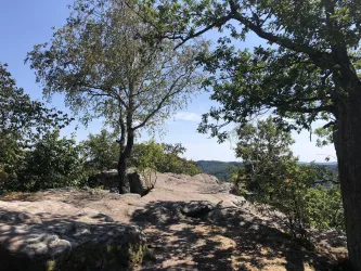 PfälzerWald (© Zais)