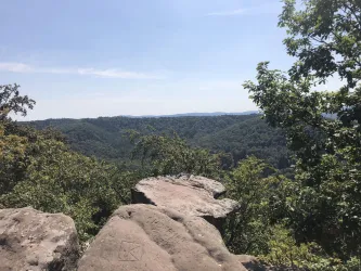 PfälzerWald (© Zais)
