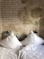 Wunderschöne Wohnung mit Blick auf die Weinberge