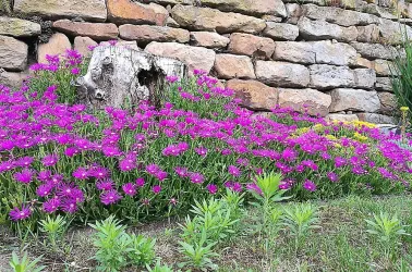 Garten II