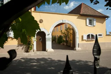 Weingut Ansicht ©Weingut Bergdolt