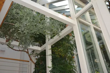 Wintergarten
