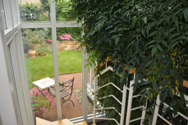 Blick in den Garten