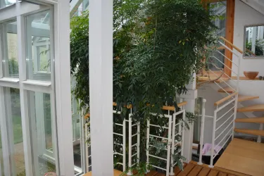 Blick in den Wintergarten