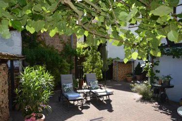 Siesta zwischen Sommerblumen und Feigenbaum